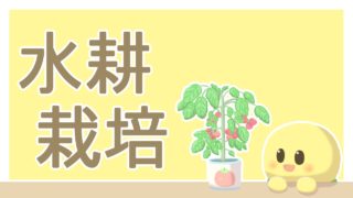 水耕栽培